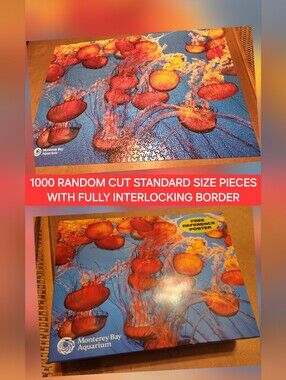 Monterey Bay Aquarium Jellyfish 1000-random Challenging Piece Puzzle